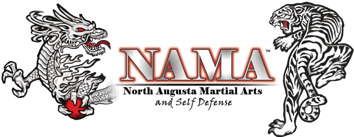 Dragon and Tiger North Augusta Martial Arts Logo