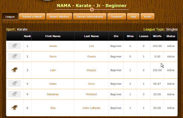 Jr Karate ladder