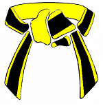 Yellow Black Belt